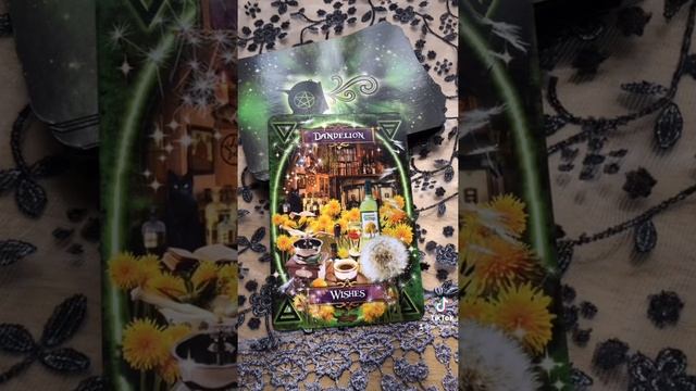 Herb of The Day: Dandelion смотреть онлайн