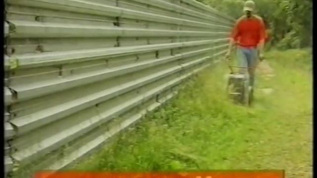 С тарпаном круглый год смотреть онлайн