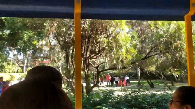 ?Доминикана?Ботанический сад?Пальмовый рай?Санто Доминго?Botanical Garden?Dominican?Santo Domingo? смотреть онлайн