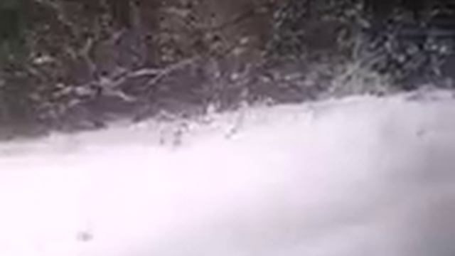 поезд владивосток- москва смотреть онлайн