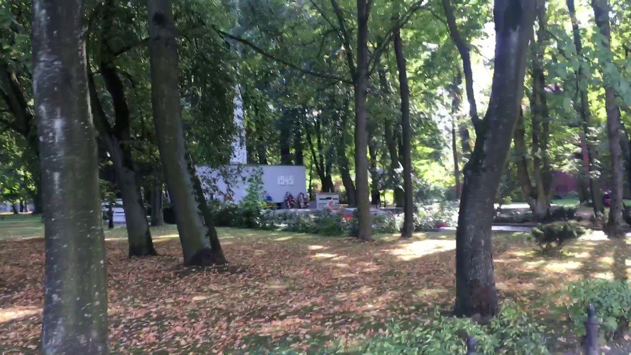 Сквер «Киевский», Калининград ул. Киевская, сентябрь 2018 смотреть онлайн