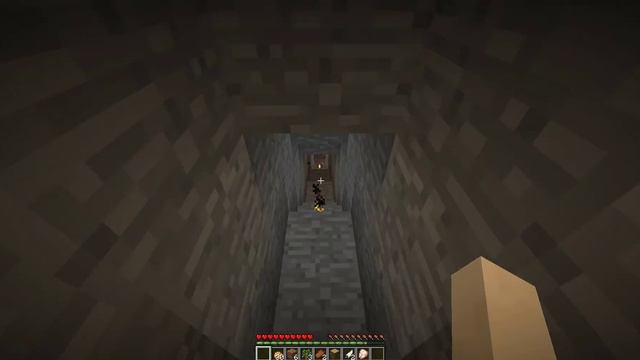 COME UCCIDERE L'ENDER DRAGON SU MINECRAFT 1.11 W/MY TEAM смотреть онлайн