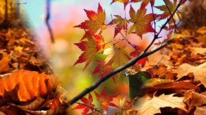 фоновая заставка осень