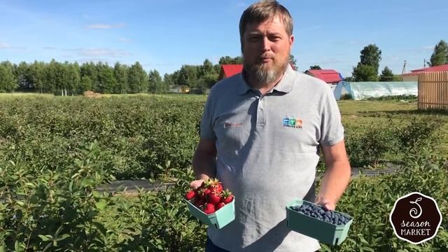 SeasonMarket на экоферме "Шуйские ягоды" смотреть онлайн