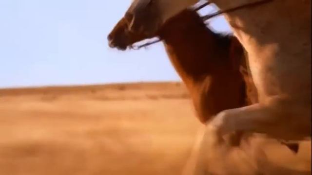 Денис Mисанчук "Нам не жить друг без друга" смотреть онлайн