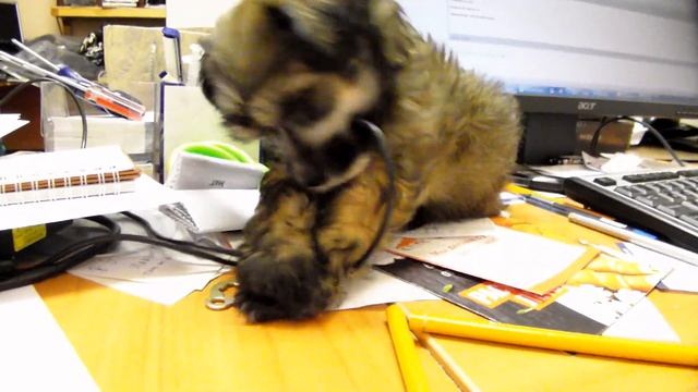 Почему иногда техника перестает работать? А вот почему! смотреть онлайн