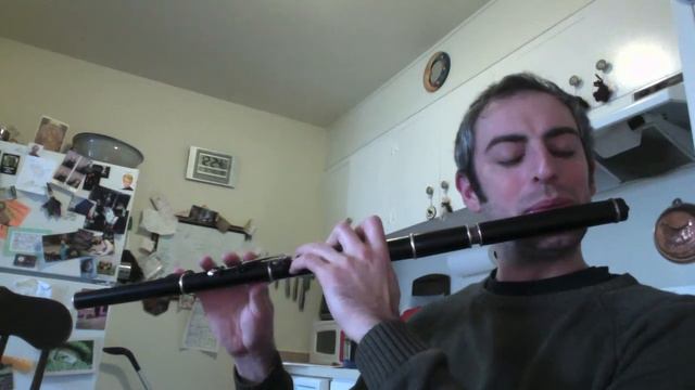 The Rolling Waves - Irish Flute - slow/fast смотреть онлайн