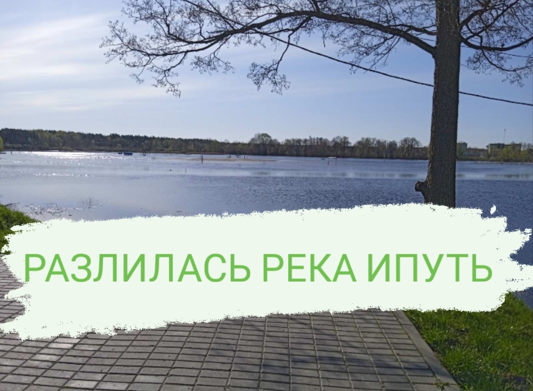 РАЗЛИЛАСЬ РЕКА ИПУТЬ. ГОРОД ДОБРУШ, ГОМЕЛЬСКАЯ ОБЛАСТЬ, БЕЛАРУСЬ. 29.04.2022 смотреть онлайн
