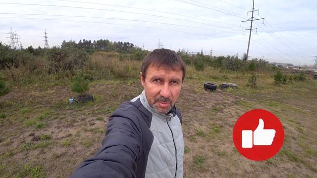 У нас больные собаки? Ошейник не выдержал. Шпиц на курсе дрессировки собак. Дрессировка шпица