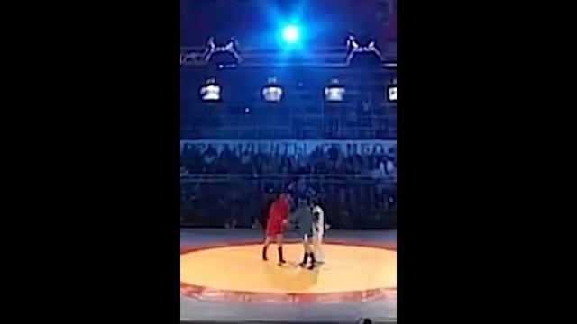 Александр Емельяненко дал прогноз на бой Федора с Бейдером смотреть онлайн