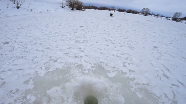 Эта безмотылка ЛОВИТ, там где ДРУГИЕ НЕ МОГУТ! Рыбалка зимой в марте 2022 смотреть онлайн