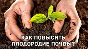 Повышаем плодородие почвы! Эффективные и действенные методы.
