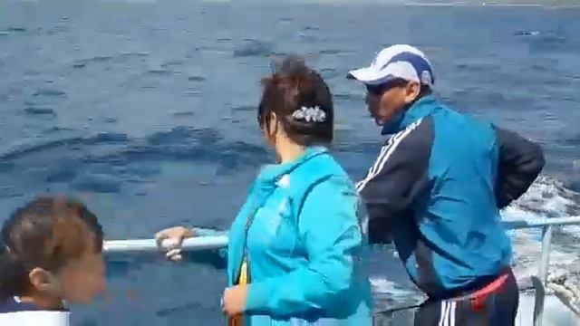 ЫССЫК КОЛ 2018 смотреть онлайн