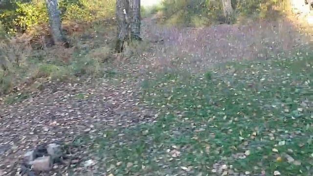 SOS -Разгром на СВятом озере 176 км по просьбе жителей?? смотреть онлайн