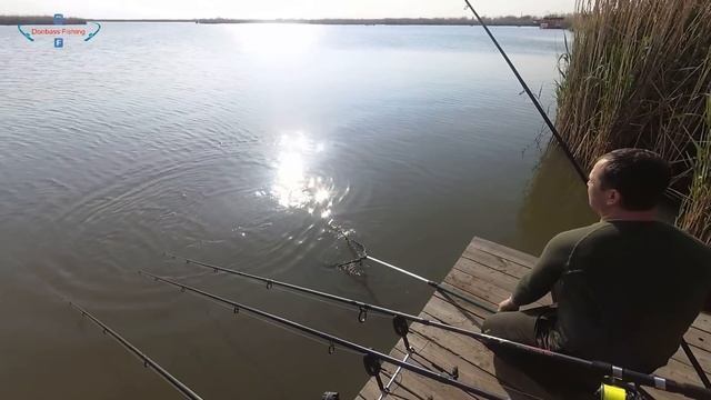 Рыбалка на карпа и сазана в мае, тактика ловли в переменчивую погоду! смотреть онлайн