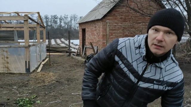 Саженцы ежевики с закрытой корневой системой(зкс) смотреть онлайн