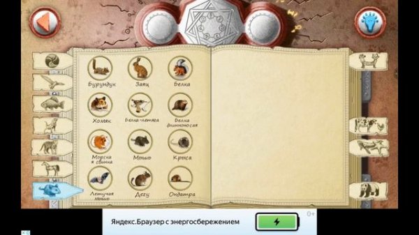 Doodle Alchemy:Animals-All elements-100% / Алхимия на бумаге:животные-все элементы-100%