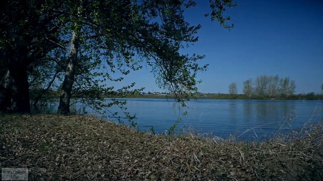 On a river / На берегу реки смотреть онлайн