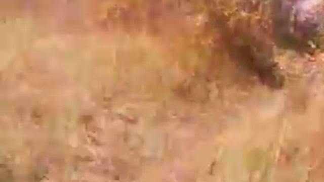 что стало с озером "Крюковка" г. Усолье-Сибирское часть4 смотреть онлайн