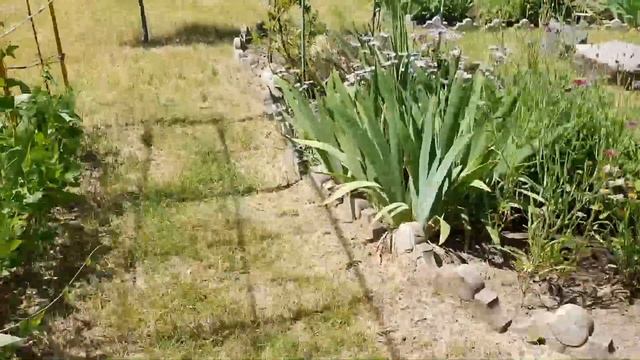 Утилизация растительных отходов сада, огорода, газона, кухни смотреть онлайн