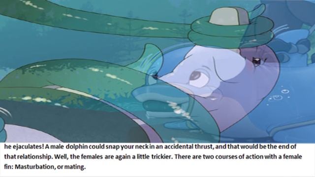 The Thing About Dolphins Is...