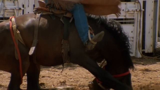 The Wild Desert Horses Of Australia | Horse: In The Wild | Real Wild смотреть онлайн