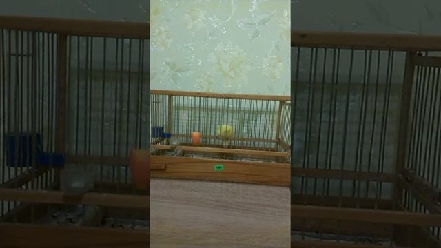 VIDEO0002 03 смотреть онлайн