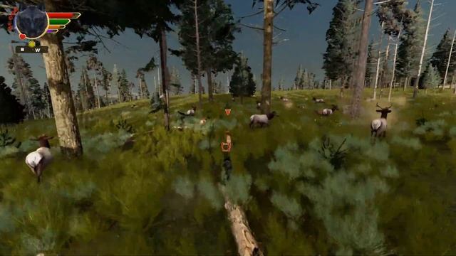 The STRENGTH of the Pack... Or a Sick Wolf Pup?!? WOLF QUEST: TWIN MOONS • #60 смотреть онлайн