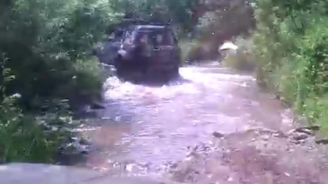 1000чи бабочек Салаира смотреть онлайн