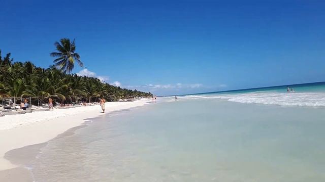 Мексика🌍Тулум, дикая природа и ослик на пляже откуда-то взялся . Coco Beach club смотреть онлайн
