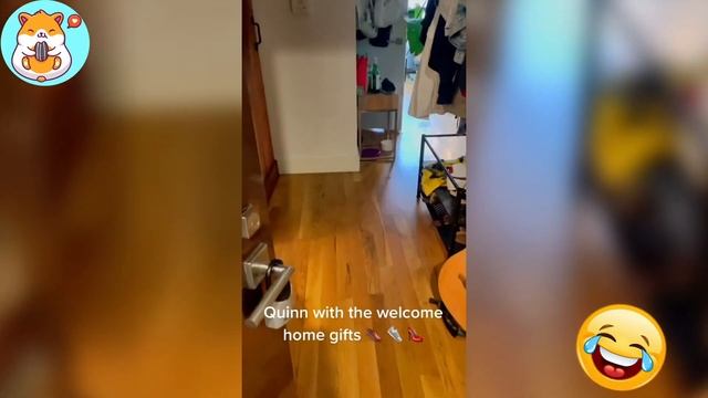 Try Not To Laugh ? Cats React So Weird With Animals - Animal Network смотреть онлайн