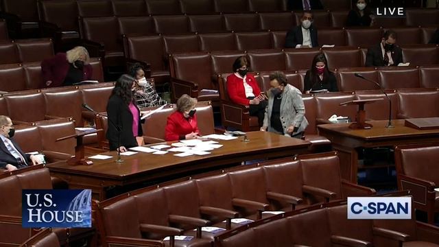 Immigration Bill Passes смотреть онлайн