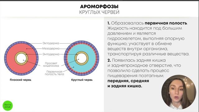 БИОЛОГИЯ ЕГЭ - Тип Круглые черви смотреть онлайн