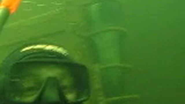 Соменок под водой - catfish underwater смотреть онлайн