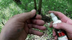 Редкая серебряная монета в лесу. Поиск с Fisher F75 RUS