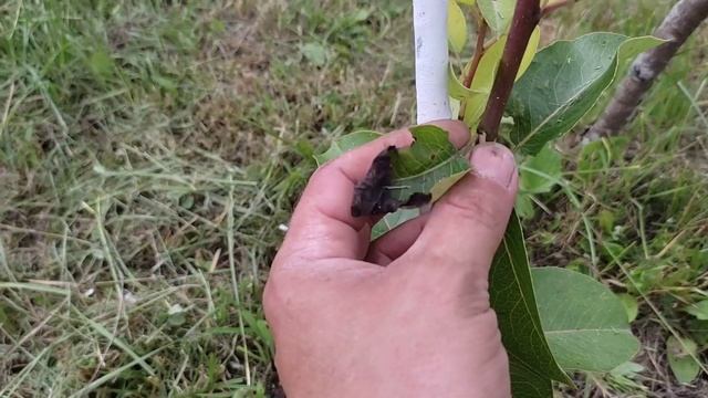 Стройка Видеоглазом