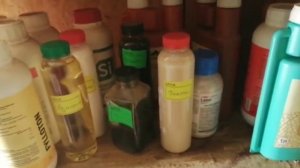 удобрения для клубники