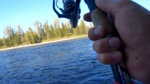 Сплав по р.Амыл ч.2.  Дикий хариус вырывает удочки из рук. Ловля на верховой настрой - "балда".