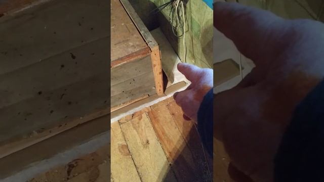 Курочка Бентамка Наседка выводим цыплят смотреть онлайн