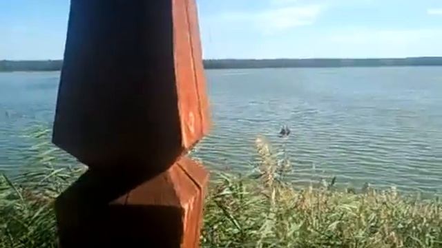 Оз. Подборное вид из беседки