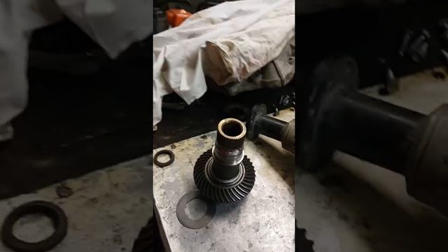 Дизайнерская Гармоническая Простота