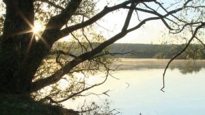 СХИАРХИМАНДРИТ ВИТАЛИЙ (СИДОРЕНКО). Редчайшие кадры и наставления