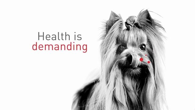 Royal Canin | Health Is: Nutrition For Every Breed смотреть онлайн