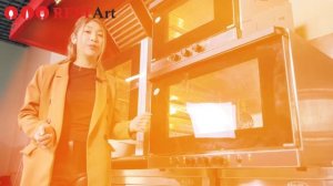 Как выбрать конвекционную печь?