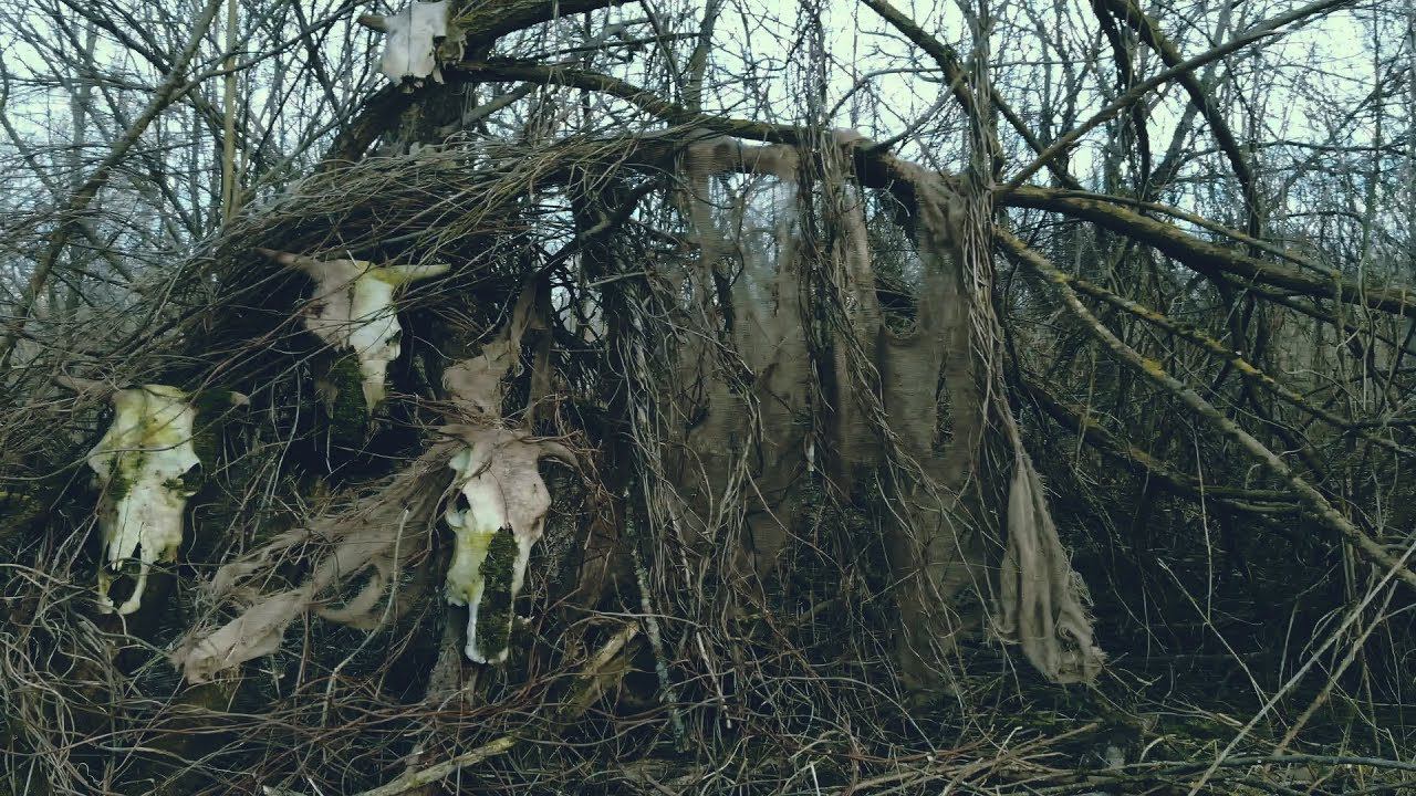 Реальные ДЕМОНЫ В ЛЕСУ Real DEMONS In The Forest