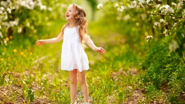 Почему растут деревья смотреть онлайн