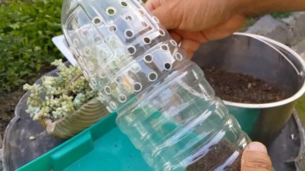 다육식물 청옥 페트병 꽂이 ; succulents ; suculentas ; 多肉植物