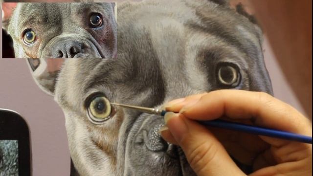 How to paint realistic dog's eyes - acrylic painting tutorial step by step. смотреть онлайн