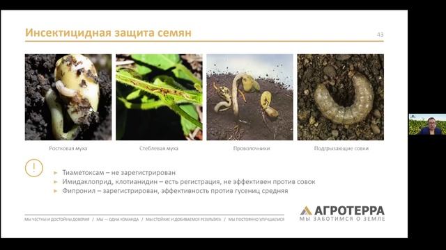 Соя 20/21: вызовы и возможности - вебинар «АгроТерры» смотреть онлайн