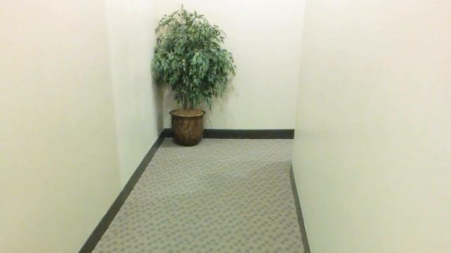 Укладка напольного покрытия Forbo Flotex